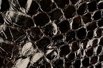 Glossy snakeskin leather texture with black reptile scale pattern for fashion design background © reddish