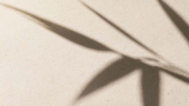Leaf Shadow on Beige Paper Texture Background