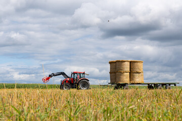 Red tractor with a trailer loaded with round hay bales in a harvested agricultural field, rural farming landscape under dramatic cloudy sky © Iryna