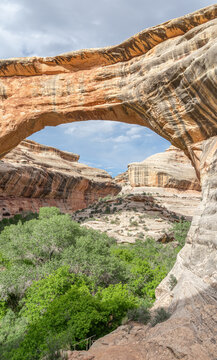 Sipapu Natural Bridge, in Natural Bridges National Monument, Utah, USA