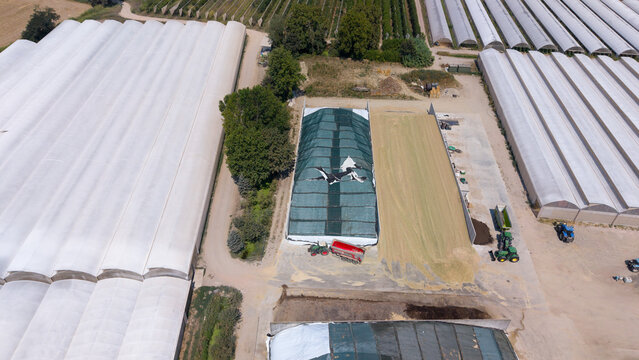 Aerial view of silage bunkers covered with green tarps at an agricultural farm with greenhouses and tractors in Peschiera Borromeo, Lombardy, Italy.