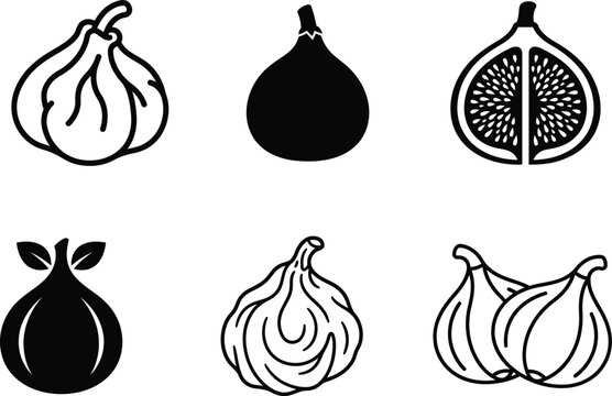 Fig Fruit Clipart Vector Pack for Logo Label and Packaging Design