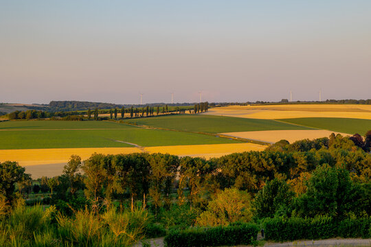Summer landscape, The terrain hill countryside in Zuid-Limburg, Small houses on hillside in the evening during sunset, Gulpen-Wittem is a villages in Dutch province of Limburg, Gulperberg, Netherlands