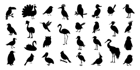Naklejka premium Black bird silhouettes in various poses. Diverse species include herons, ducks, parrots, and swans. Silhouettes show flight, standing, or resting. Ideal for nature, wildlife, or design projects
