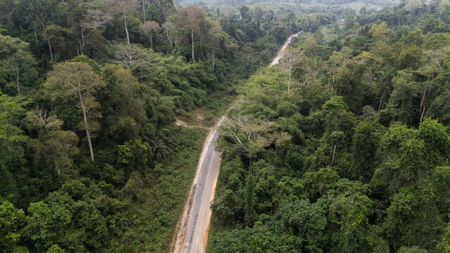 Aerial view of Kakum National Park featuring a winding road cutting through dense tropical rainforest with lush green canopy and tall trees in Odumase Abrafo, Central Region, Ghana.