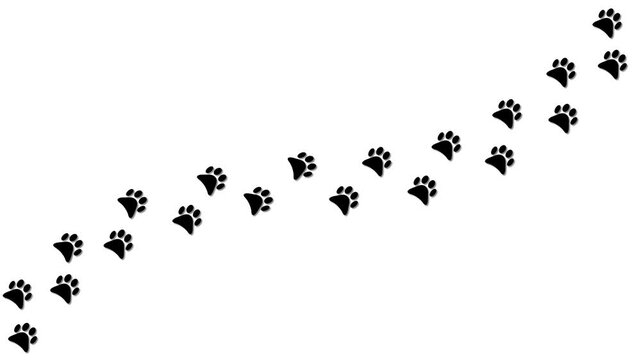 Black paw prints forming a diagonal trail across white background, animal footprints, dog walking path, pet movement, canine tracks, simple isolated.