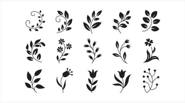Vintage botanical plant branches and flower silhouettes