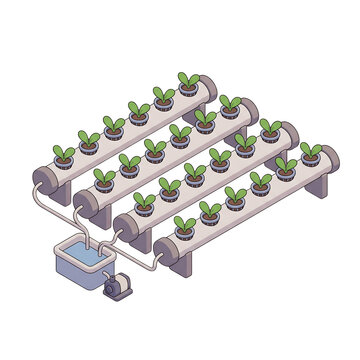 Hydroponic Scene 3D Illustration, Isometric hydroponic farming system with green seedlings and water pum