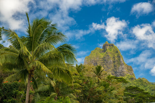 Beautiful landscape photographs of the Pacific island of Moorea in French Polynesia, with lush green vegetation, blue skies and stunning volcanic rock formations. 