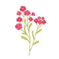 Fototapeta premium Cute Pink Wildflowers Branch Clipart Cottagecore Floral Illustration