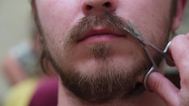 Person getting a beard and the mustache with scissors trim at a barber shop during the day