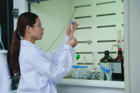 Scientist Analyzing Liquid in Test Tube in Laboratory for Research Purposes