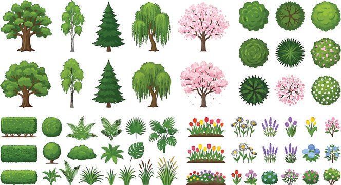 Collection of various garden trees shrubs flowers and topiary plants for landscape design in vector illustration