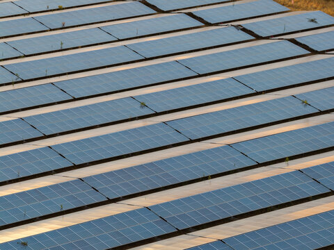 Aerial view of rows of photovoltaic panels in a solar farm capturing sunlight in Genk, Flanders, Belgium.