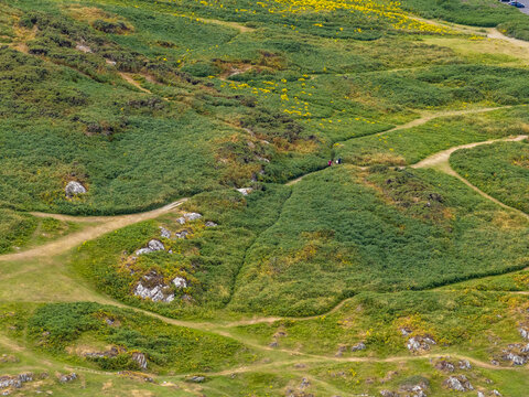 Aerial view of Clogherhead featuring rolling green hills, rocky outcrops, yellow gorse bushes, and winding walking paths in Clogherhead, County Louth, Ireland.