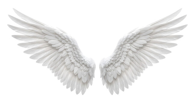 Pair of beautiful white angel wings spread open isolated on transparent background