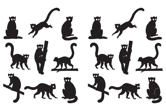 A collection of black lemur silhouettes in various poses isolated on a white background and isolated on a transparent background for easy design use.