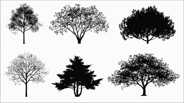 Realistic deciduous and evergreen trees black silhouette vector set