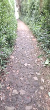Footpath with Grass-Covered Earthen Embankment
