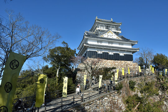 春の青空に映える天守閣、岐阜城