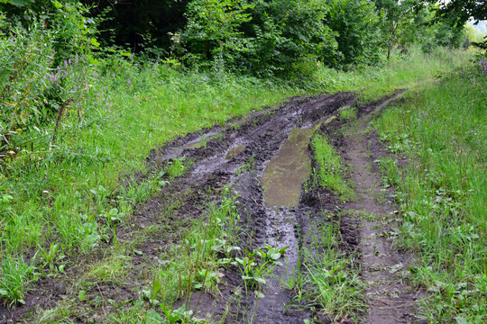 Muddy Rural Path with Tire Tracks in green summer Forest, close up