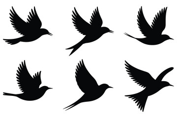 Naklejka premium Flying bird silhouettes against a white background depict avian movement
