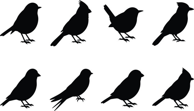 Songbird silhouette vector set isolated on white background for nature graphics and logo design