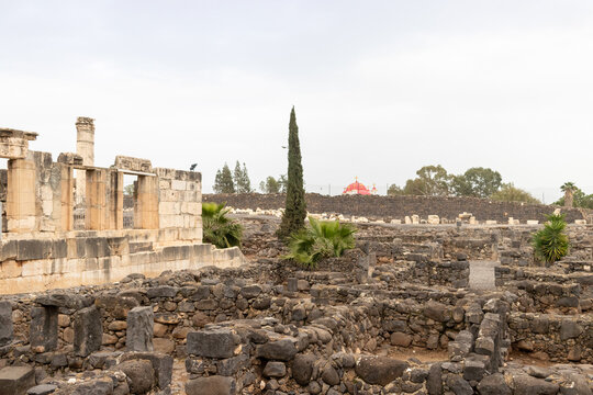 Capernaum, Israel - 08 March 2015: View of the ancient archaeological site of Capernaum featuring basalt stone ruins, palm trees, and the red dome of a church in the background.