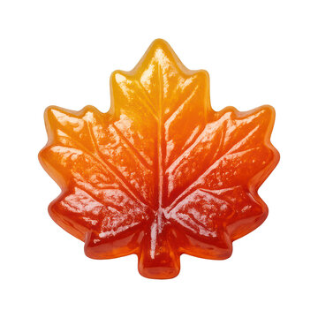 PNG Vibrant glossy maple leaf