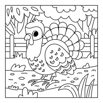 Coloring book for children with cute turkey on farm with country road and white fence. Black and white outline illustration for preschool and kindergarten kids. Square printable worksheet