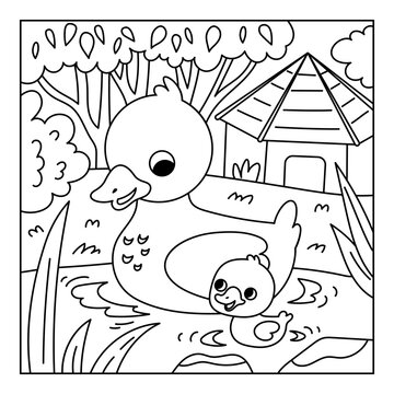 Coloring book for children with cute duck and duckling. Black and white outline farm illustration with pond and duck house. Square printable worksheet for preschool and kindergarten kids