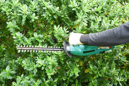 Hedge Cutter Garden Power Tool &ndash; Close-Up Gardening and Landscaping Image