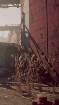 The scene shows old buildings along with wild plants growing in an empty area. The light from the afternoon sun casts shadows on the ground and walls.