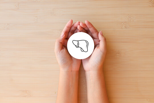 close up top view on woman hand with liver symbol on beige background represent about health checkup and lifestyle for health and wellness concept