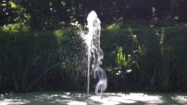 Water jet fountain spraying in a sunlit garden pond