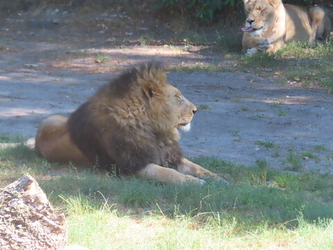 Zoo