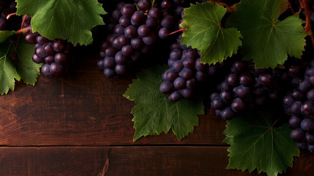 Grape fruits and leaves arranged as a frame on dark wooden background