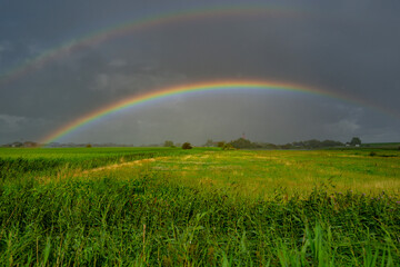 Naklejka premium Rainbow arches across green field. Colorful rainbow follows dramatic weather. Rainbow enhances rural landscape. Brilliant rainbow dominates cloudscape naturally.