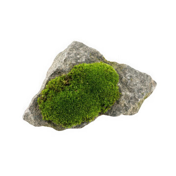 Moss covered rock isolated element for natural design and environmental concepts isolated on transparent background