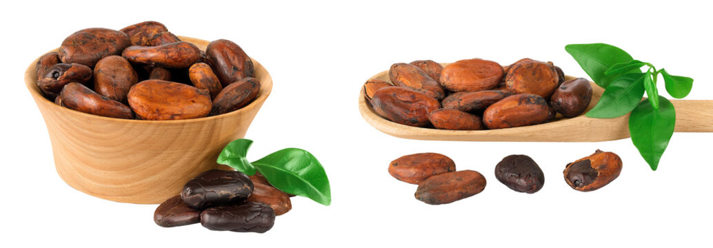 cocoa beans in wooden bowl and spoon isolated on white background.