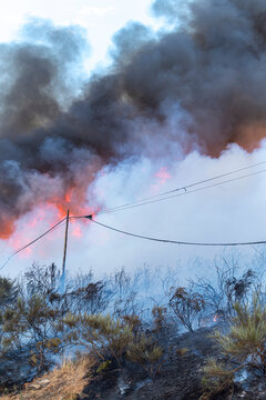 Power pole in dense wildfire smoke and fire The Concept of vulnerability