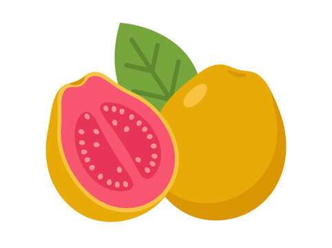 Fresh yellow guava vector with half sliced pink fruit and leaf