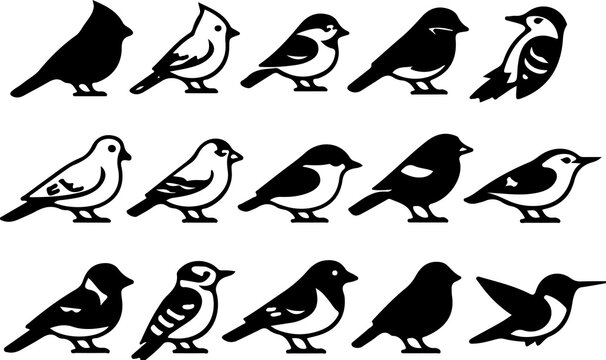 Collection of different bird silhouettes and vector icons set with silhouette