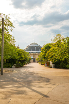 looking down path in French Paris city centre with domed building in distance with lush green trees lining the bright gravel path with clear blue skies overhead