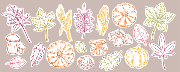 Fototapeta premium Autumn sticker set with pumpkins, leaves, mushrooms, wheat, corn, berries and acorns in hand drawn doodle style. Scrapbooking and seasonal decor with autumn sticker set, vector illustration