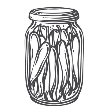 Pickled cucumbers packed in a glass jar with whole vegetables and closed lid. Recipe and preserving graphics feature pickled cucumbers in monochrome hand drawn outline style, vector illustration.