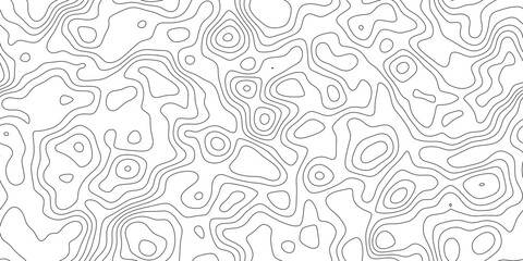 Fototapeta premium Minimal abstract topographic map line background, delicate line work mapping height and terrain, for cover, banner and social media.