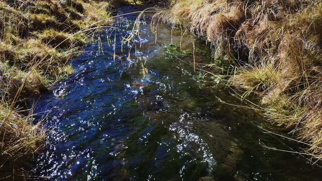 Clear mountain stream flows through golden grassy banks. Water ripples gently under sunlight. Natural wilderness scene with no people. Ideal for travel, nature, or eco-documentary projects