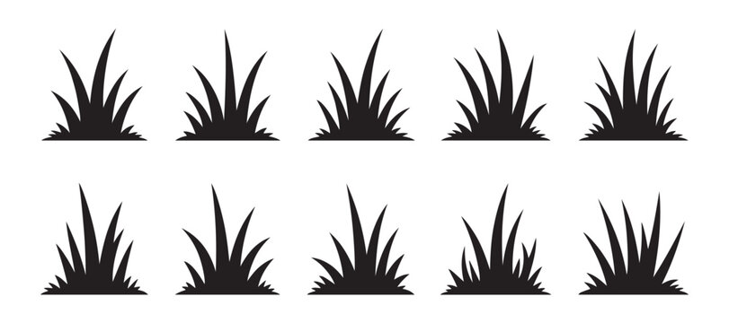 Set of black grass silhouettes with diverse blade shapes for organic garden design background art.