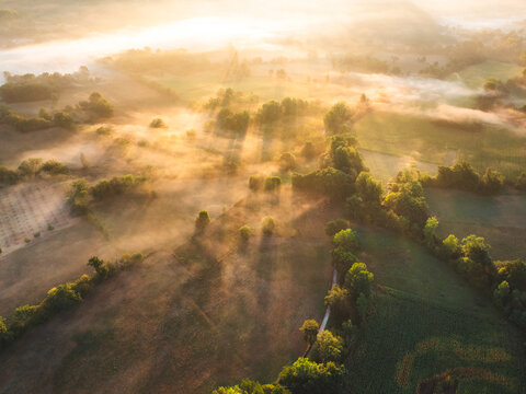 Aerial view of the mist-covered rural landscape at sunrise, featuring golden light filtering through trees and fields in Loubressac, Occitanie, France.